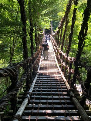 金刀比羅宮
豊稔池堰堤
大歩危峡観光遊覧船
かずら橋