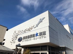 沼津港深海水族館
炭焼きレストランさわやか
大井川鐵道
竹島水族館