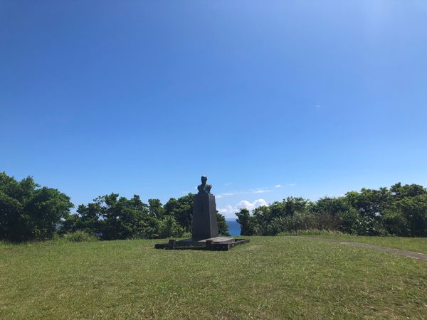 日本・鹿児島県「奄美大島の旅」の写真：鶏飯
マングローブ林カヌー