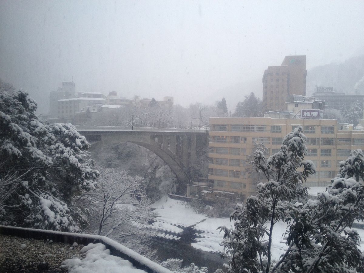 サンダーバード
宇奈月温泉スキー場