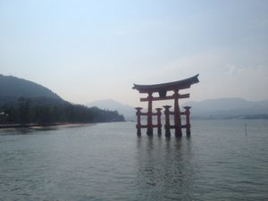 安芸の宮島
ホルモンうどん