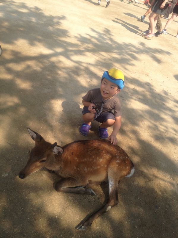 日本・山口県「山口(帰省)」の写真：安芸の宮島
ホルモンうどん