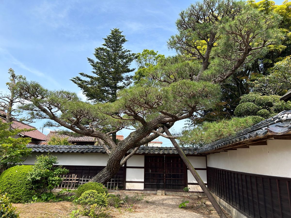 2日目の5/4
まずは島根の器を知りたくて売店目的に出雲民藝館へ。
明治に...