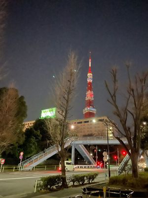 東京タワー🗼
登ったのはじめて。
スカイツリーより東京タワー派🗼