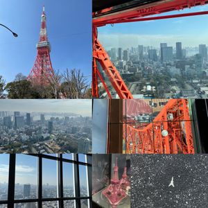 東京タワー🗼
登ったのはじめて。
スカイツリーより東京タワー派🗼