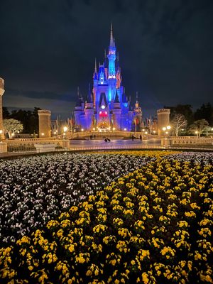 シェラトングランデ東京ベイ🏨
グレードあげてくれた。イルカ🐬この部屋よい。
