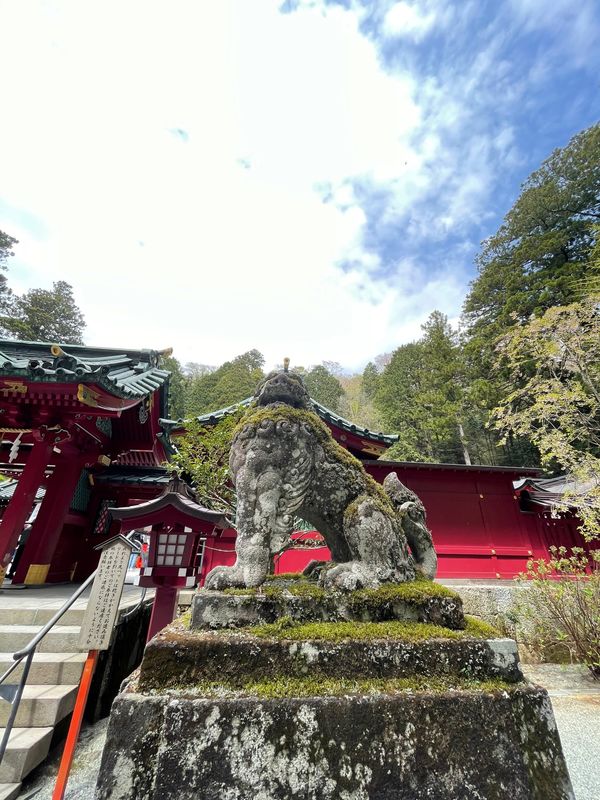日本・箱根「箱根♨️」の写真：レストラン待ち時間の間に人気の箱根神社⛩...