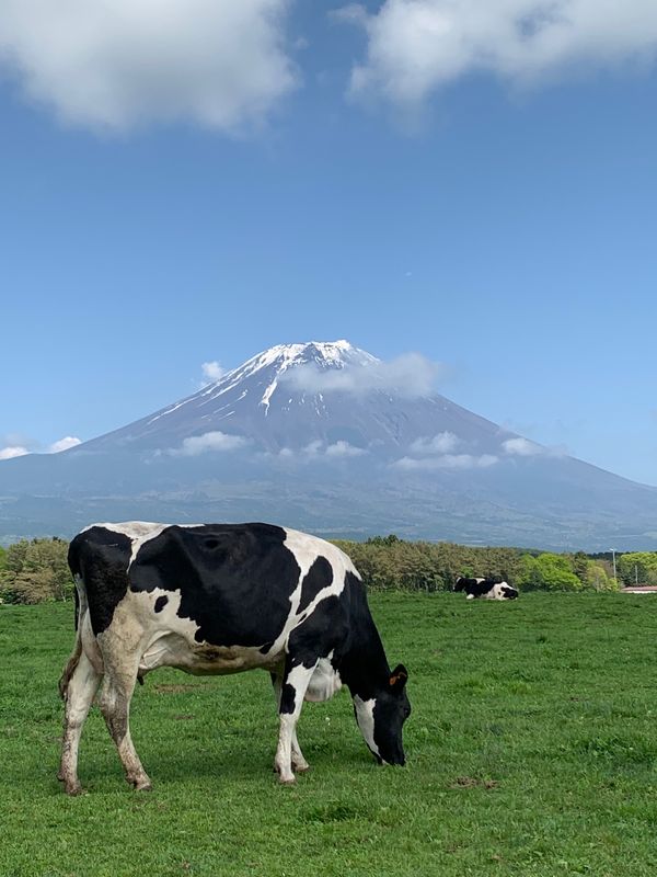 日本・山梨県「GW」の写真