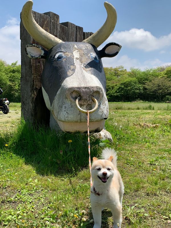 日本・山梨県「GW」の写真