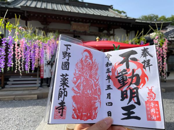 日本・栃木県「足利フラワーパークと宇都宮」の写真：寺岡山 薬師寺【寺岡山元三大師】
朝日森...