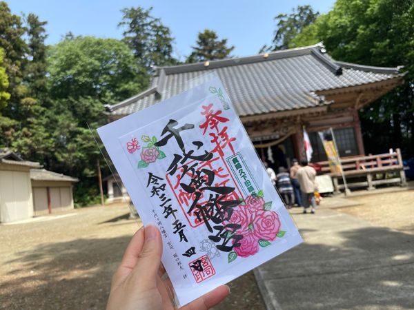 日本・栃木県「足利フラワーパークと宇都宮」の写真：千代ヶ岡八幡宮⛩
SLイベントのおかげか...