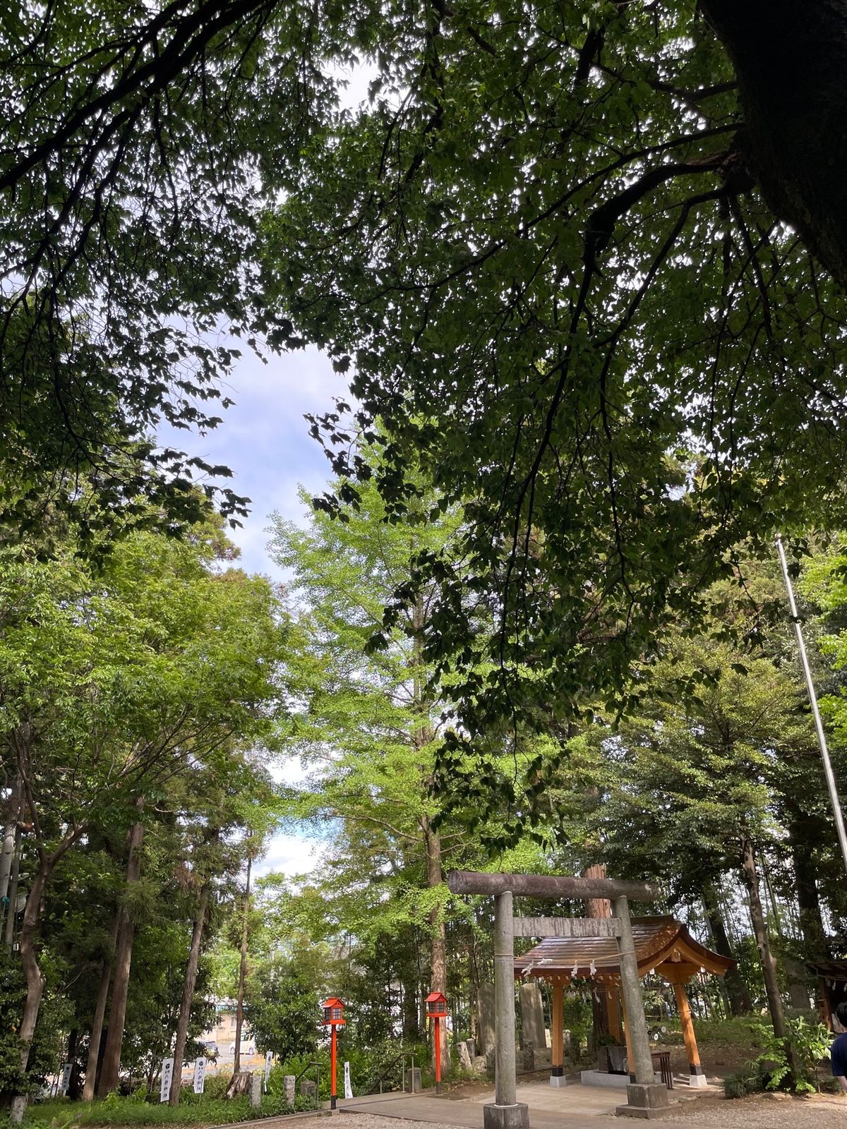 埼玉厄除開運大師・龍泉寺
三ヶ尻八幡神社