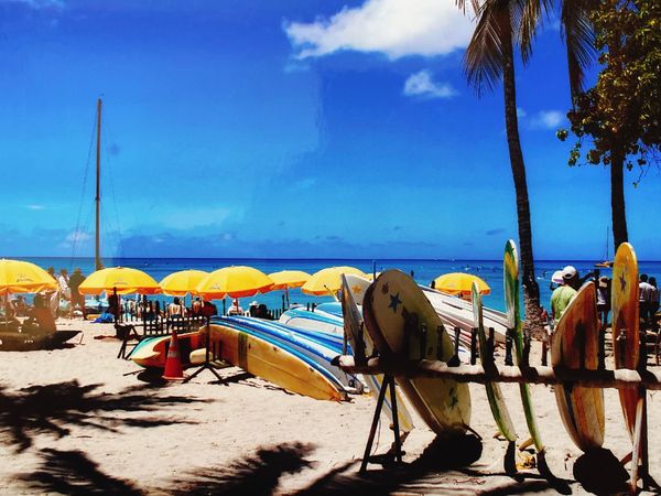 アメリカ(米国)・ホノルル「ハワイ🌺」の写真