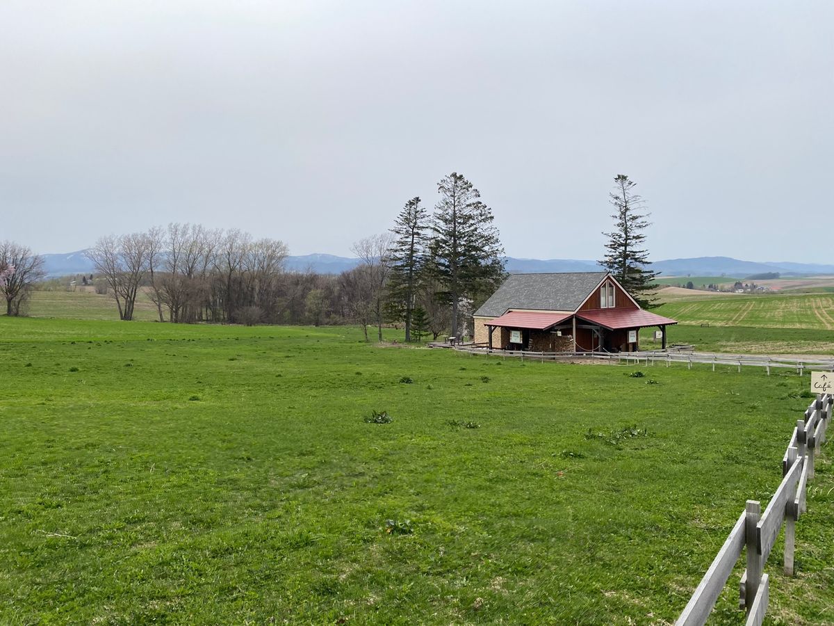 美瑛のひとさじにてランチを狙うも売り切れ
せっかくなのでカフェメニューの
...