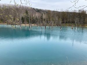 青い池✨
美しい✨
そして雪もまだ残っていました⛄️😆