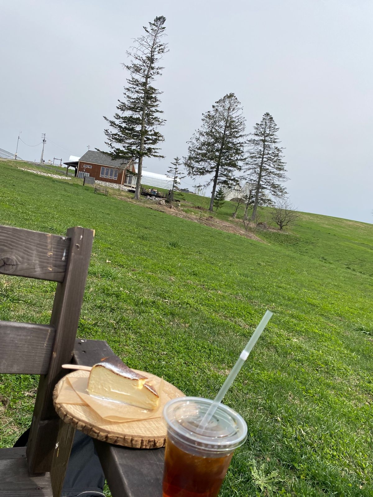 美瑛のひとさじにてランチを狙うも売り切れ
せっかくなのでカフェメニューの
...