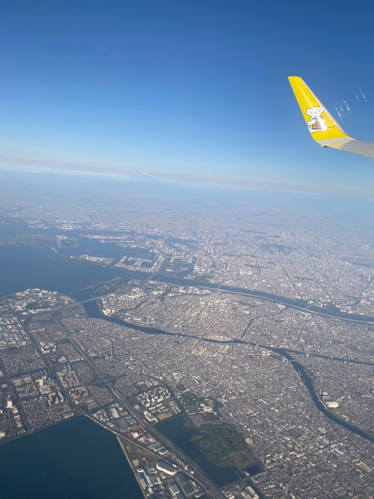 コロナ禍で我慢してた飛行機旅
ようやく行くことができました！
行きの飛行機...