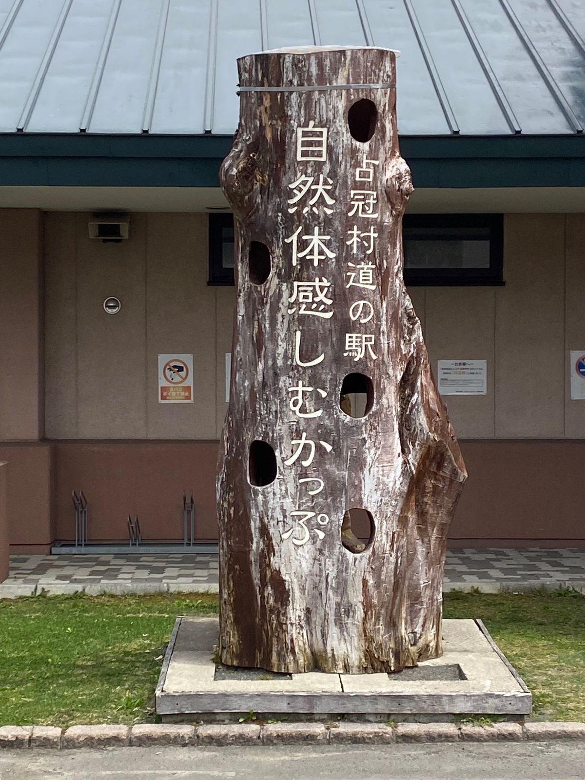千歳から美瑛への道のり
まだ桜が咲いていて雪山とのコラボが美しい✨
占冠道...