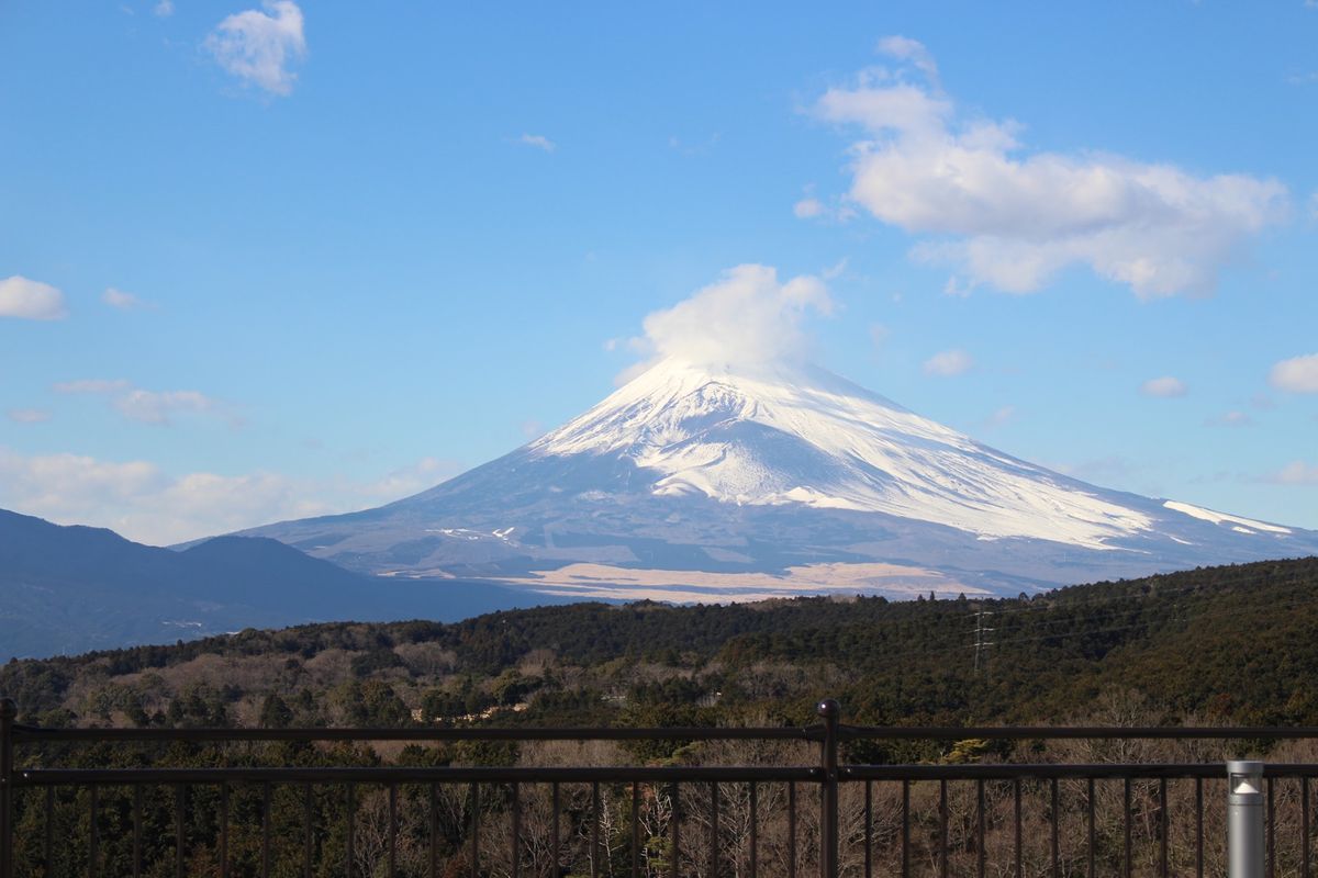 三島スカイウォーク