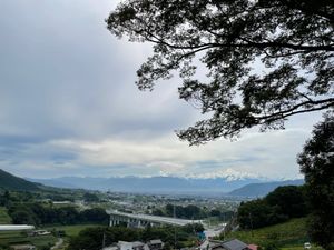 逃げ恥で有名なぶどう🍇寺
ここに座ったと教えてくれた😂
大好きなクラムボン...