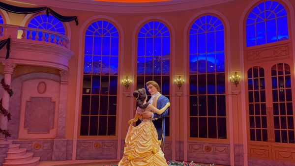 日本・千葉県「ディズニーランド&シー　バケパ　ミラコスタ」の写真：抽選全部当たり🎯
見たかったショーもプラ...