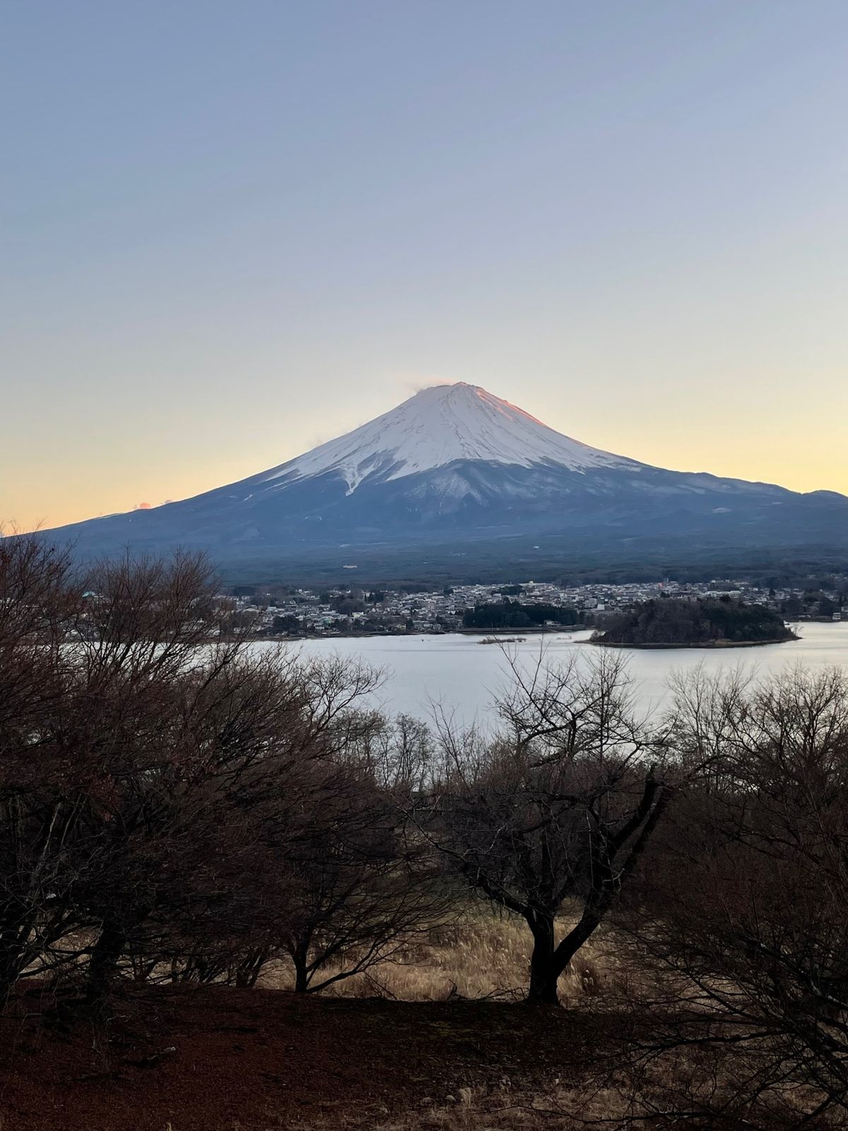 はじめて部屋の景色が最高すぎて叫んだww
