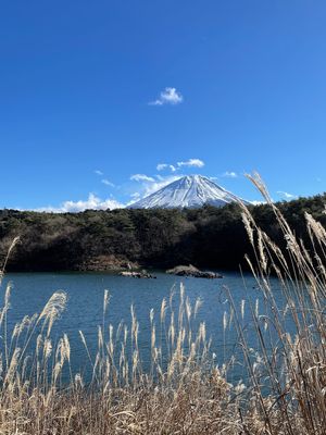 富士山て、ずっと見てても飽きない。
特に冬の富士山が好き🗻

河口浅間神社...