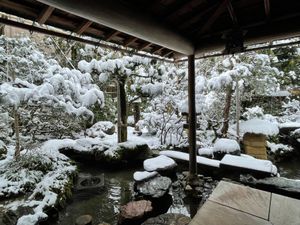 雪の庭
お麩のフレンチトースト
大好きなとうふアイス　冬はソフトなかった。...