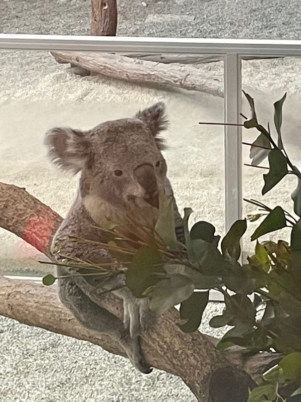 日本・淡路島「淡路島」の写真
