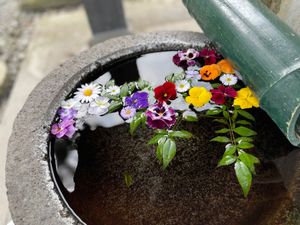 栃木といえばいちご狩り
甘くて美味しかった🫶

希望のイラストオーダーに答...