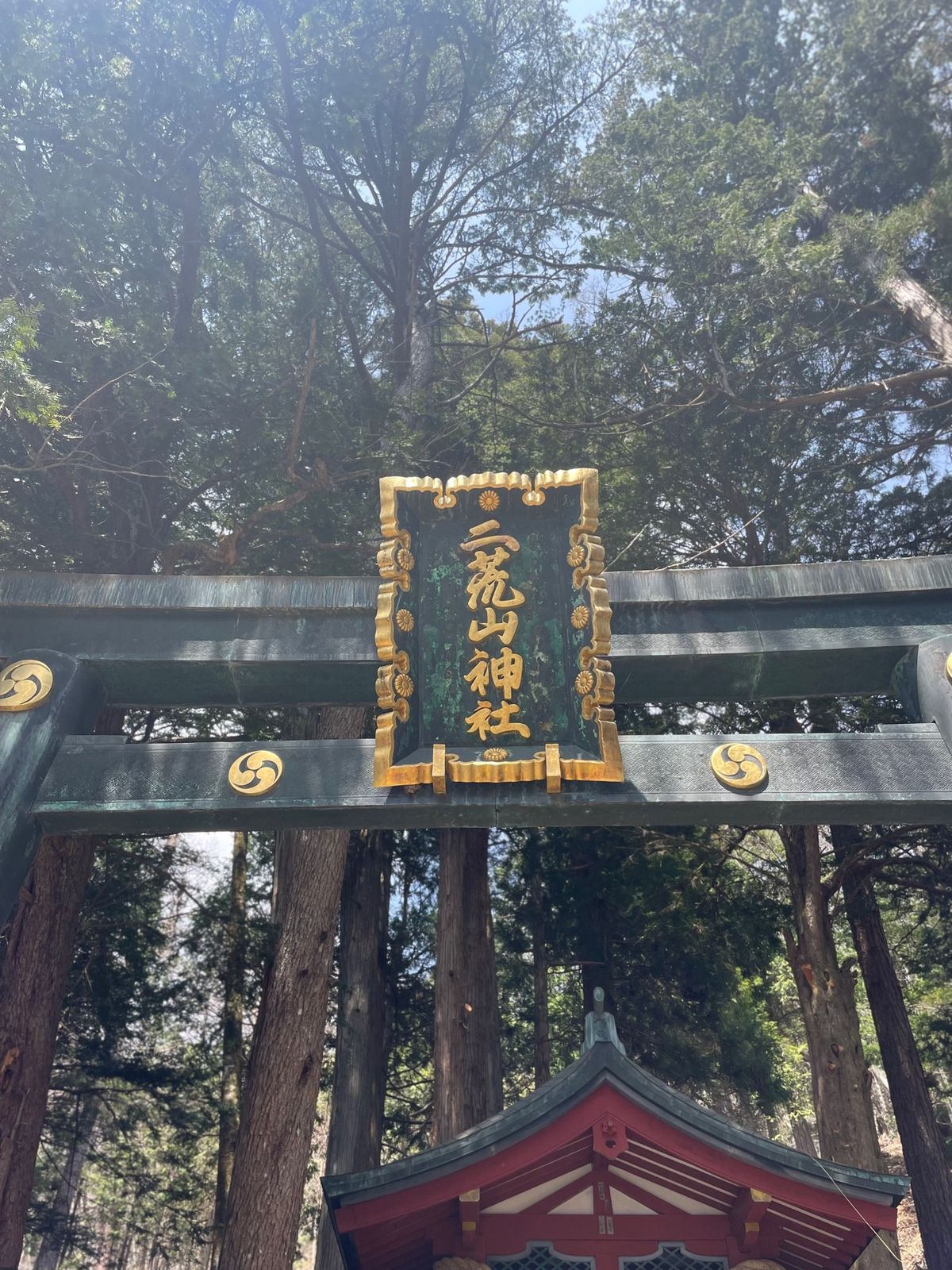 お守りいただいて
近くの二荒山神社⛩参拝して出発