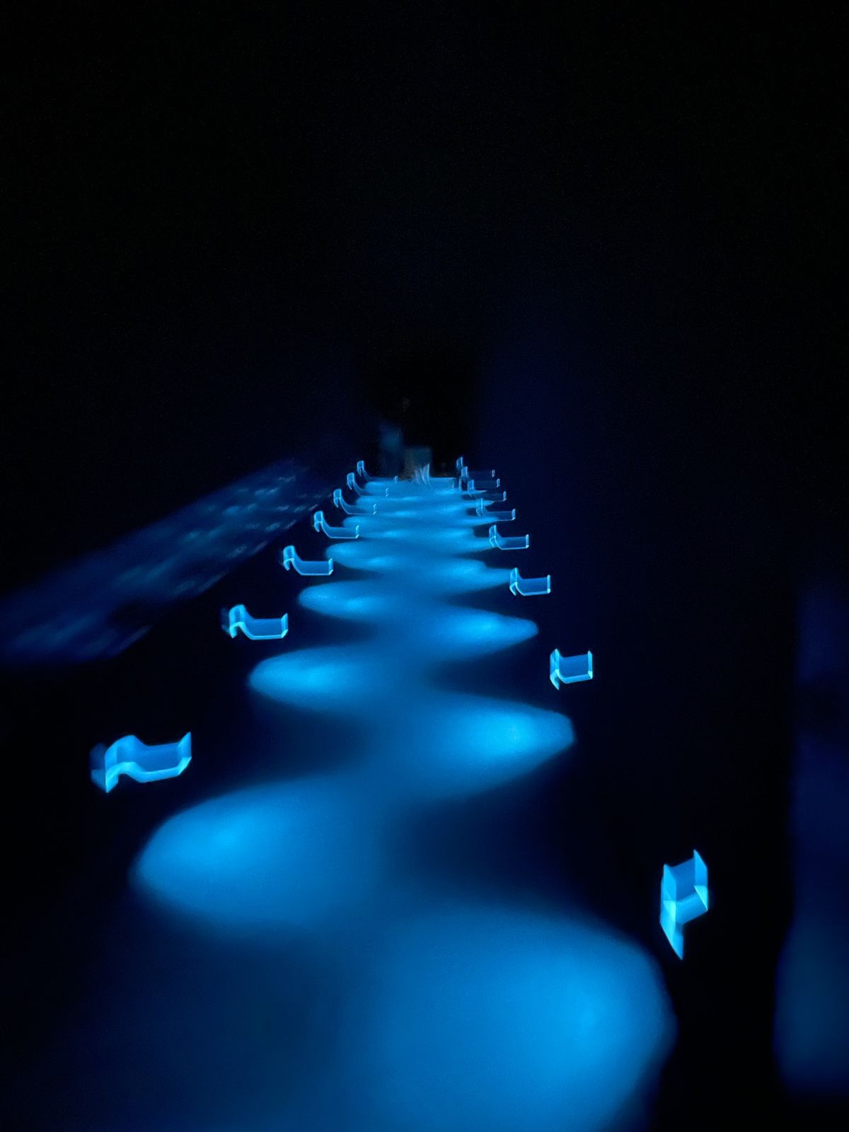 チームラボ

築地。うにをたくさんたべたひ。