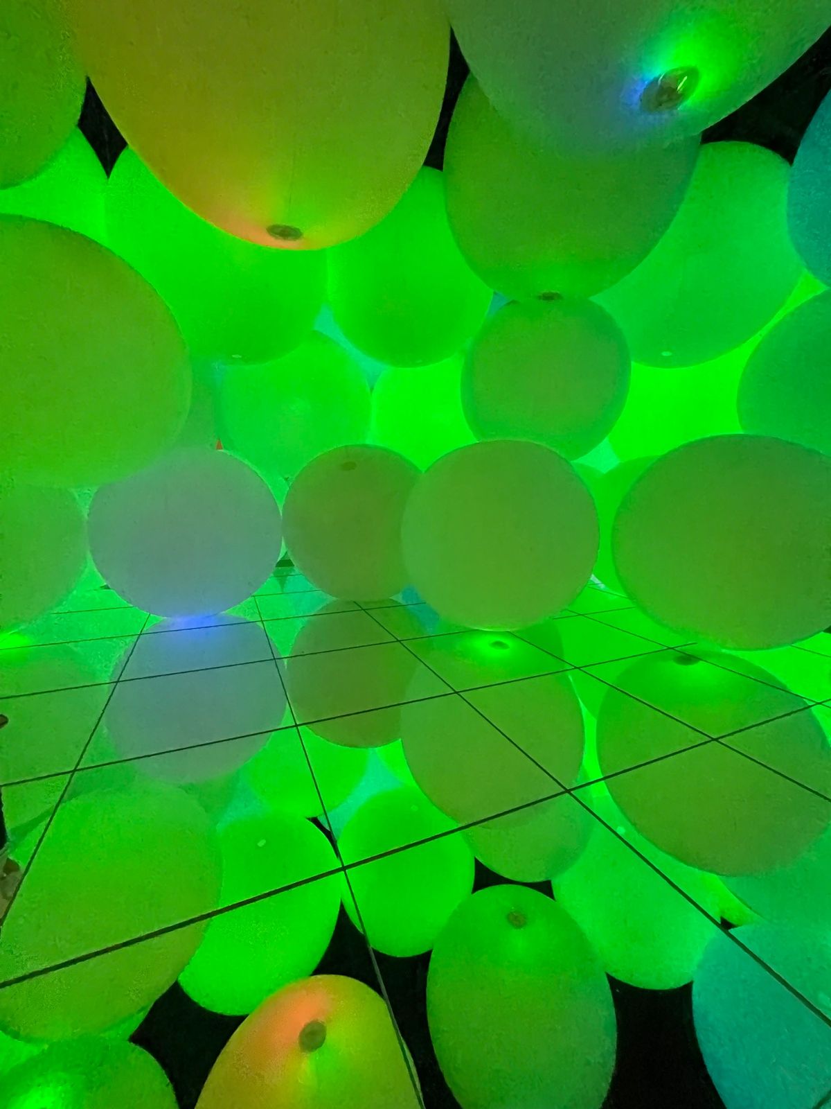 チームラボ豊洲