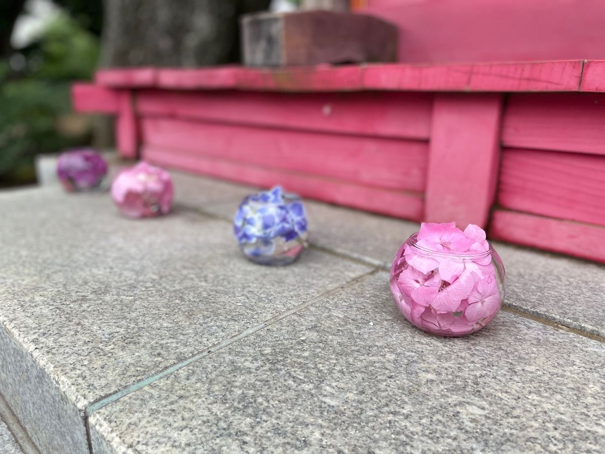 アヒルにカモが乗っていた。
初めての光景は見られました。
毛繕いなのかど突...