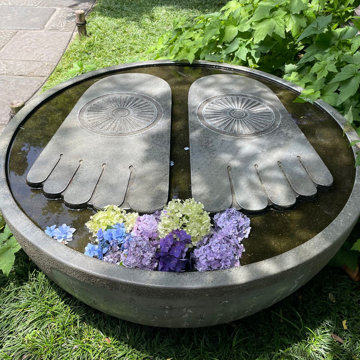 紫陽花愛でに鎌倉へ
長谷寺