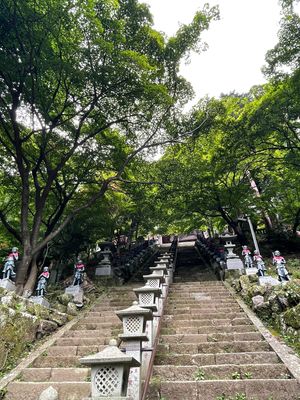 途中下車するとある大山寺
年末来るとライトアップがきれいとのこと。
通りす...