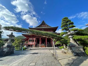 甲斐善光寺
ほうとう
ワイン🍷
桃🍑