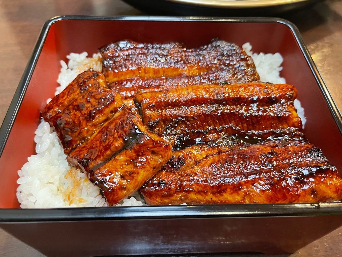 浜松餃子おいしかったぁ🥟もっとたべたかったー
あつみ　うなぎ　白焼がおいし...