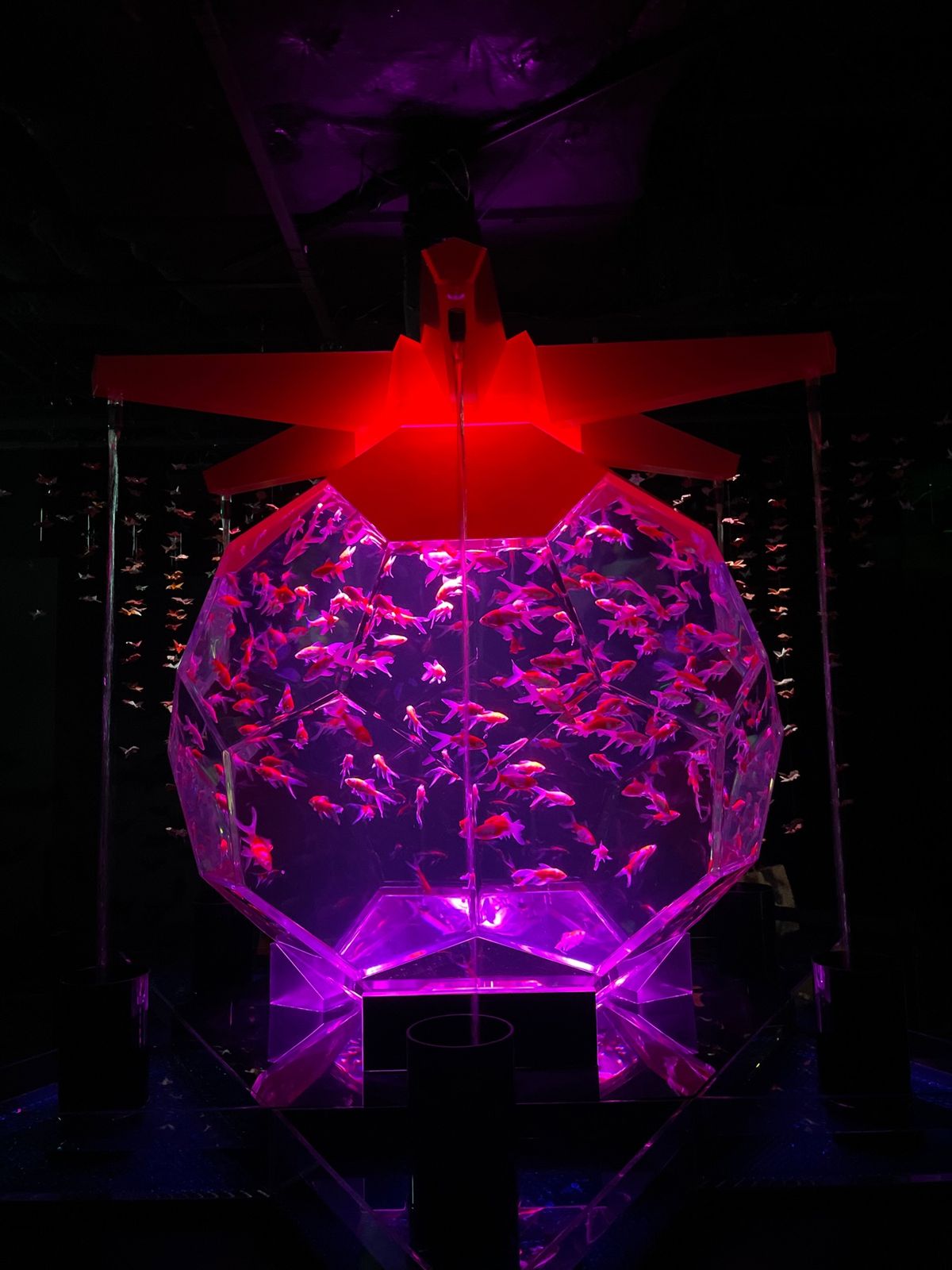 おまけに銀座に移転したアクアリウム
昔から来てる身としては昔のほうが好きだ...