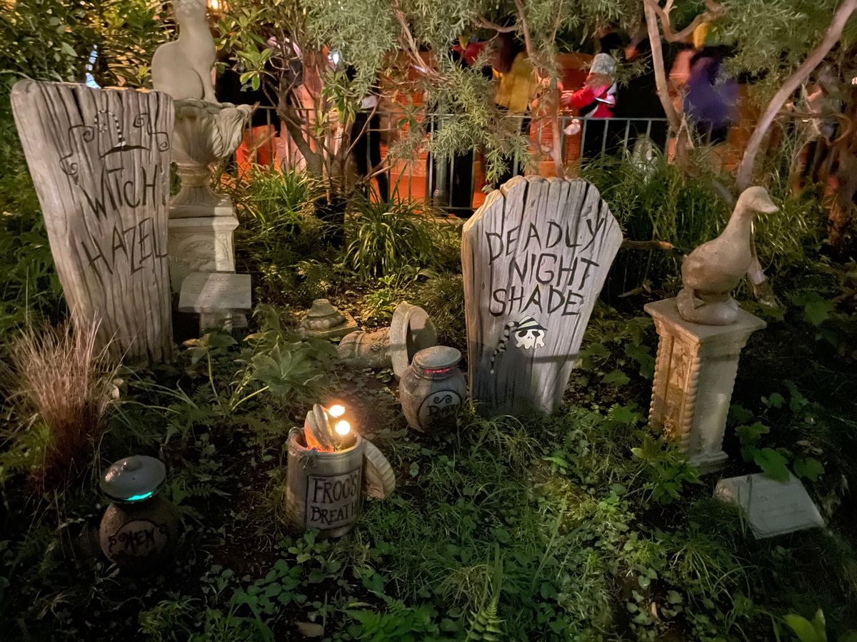 ハロウィン🎃
グランマ・サラ　久々がっつりオムライス