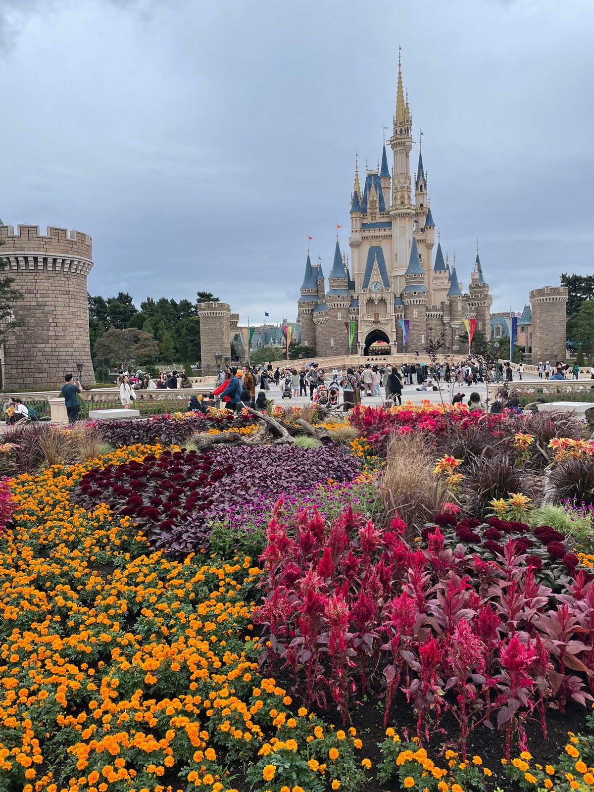 ハロウィン🎃
お花も魅力のディズニー