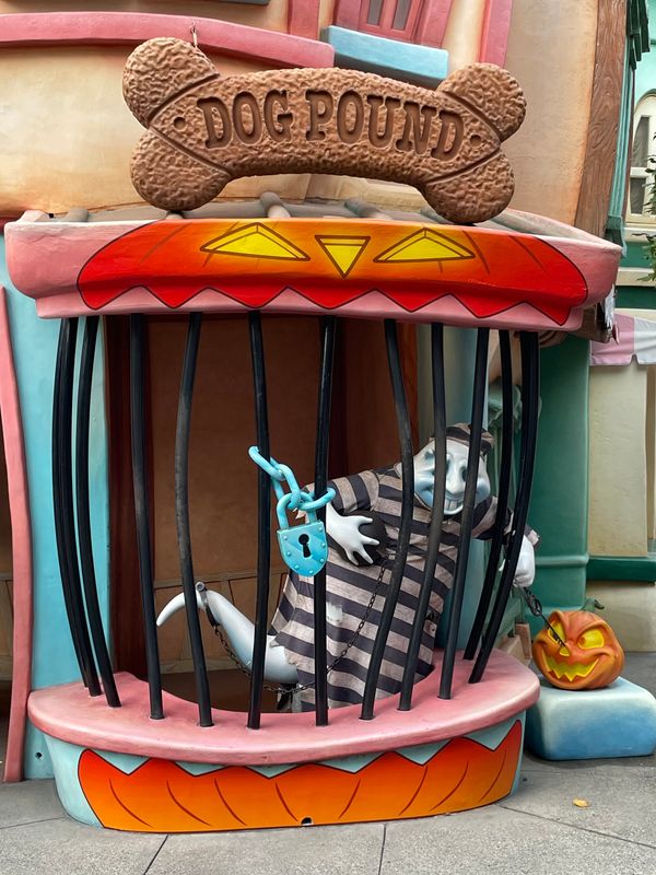 日本・千葉県「ディズニーランド　日帰り」の写真：ハロウィン🎃
テンションあがる