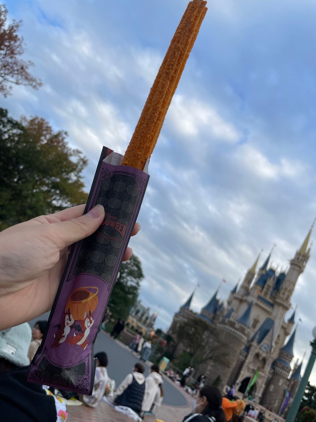 ハロウィン🎃
お花も魅力のディズニー