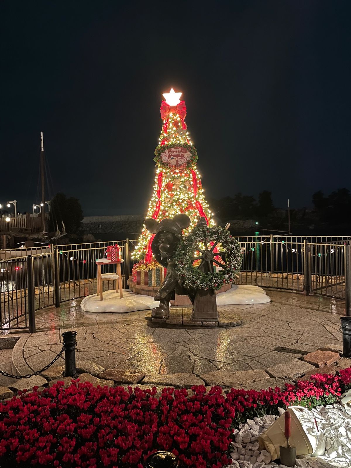 久々のクリスマス感🎄
