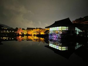 夜から京都に移動して
平安神宮でヨルモウデ🌙
雨も上がってきれいでした。