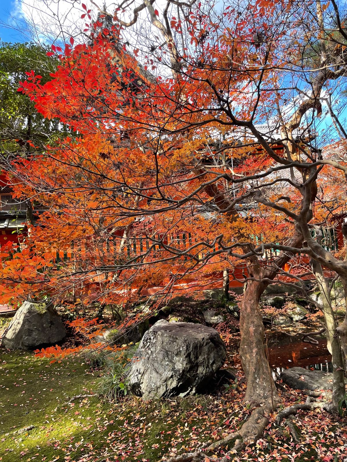 毘沙門堂
紅葉🍁ほぼ終わってて残念。
今度また来たい。
素敵な御朱印と御朱...