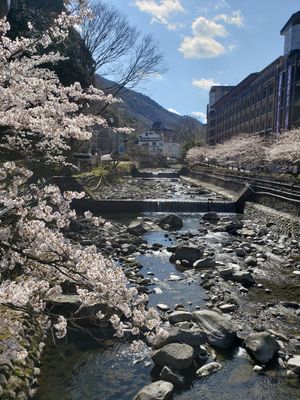 横浜コンチネンタルホテルから気まぐれ旅
天成園　日帰り温泉♨️