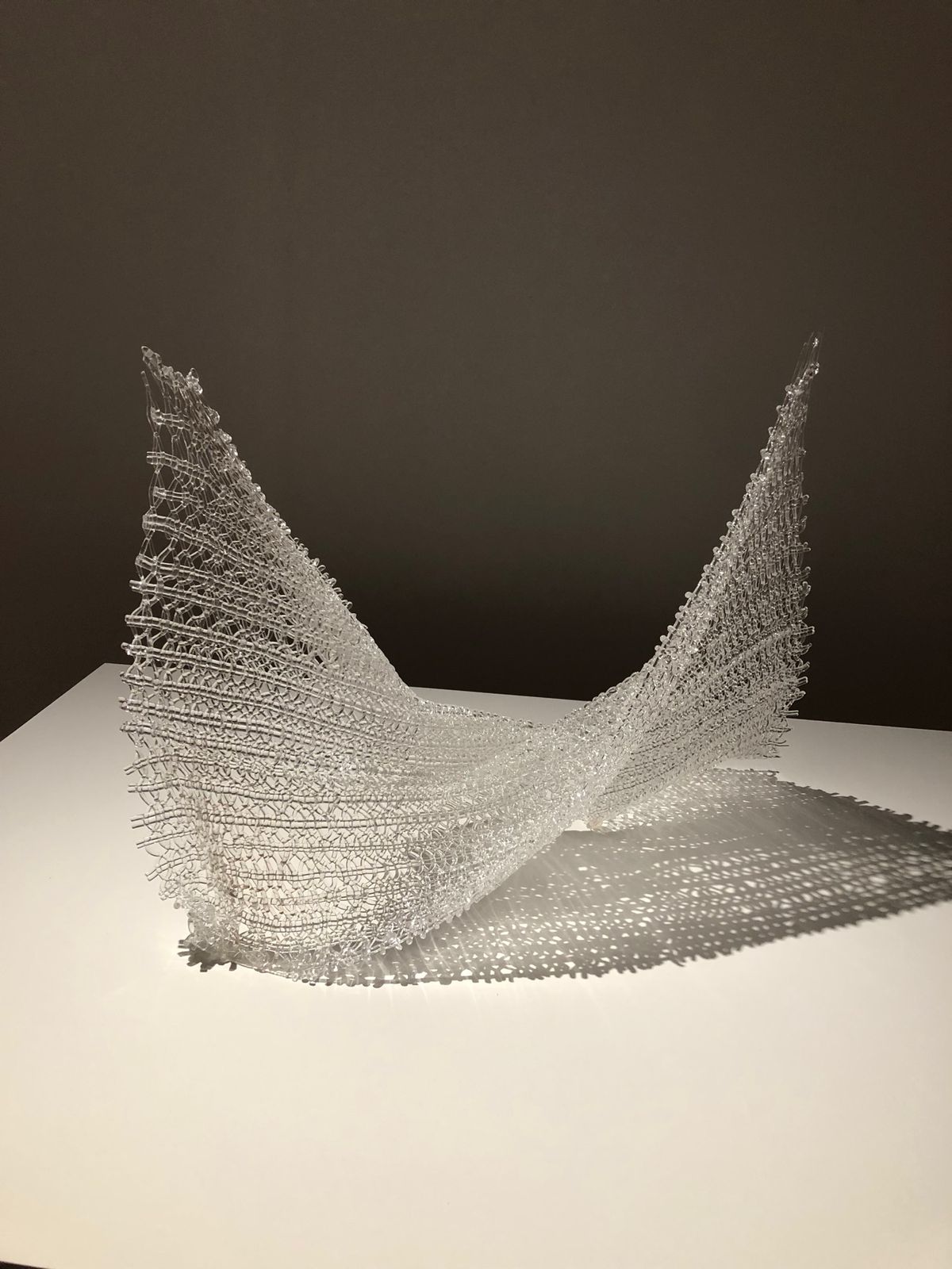 夜行バスから、富山のスタバ😊
富山湾の近くのホタルイカミュージアムに行き、...