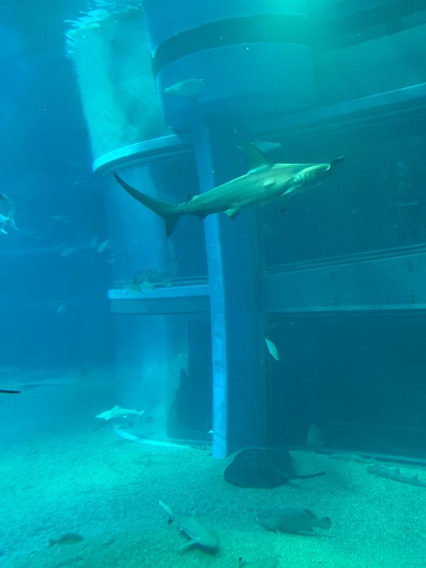 日本・大阪府「大阪」の写真