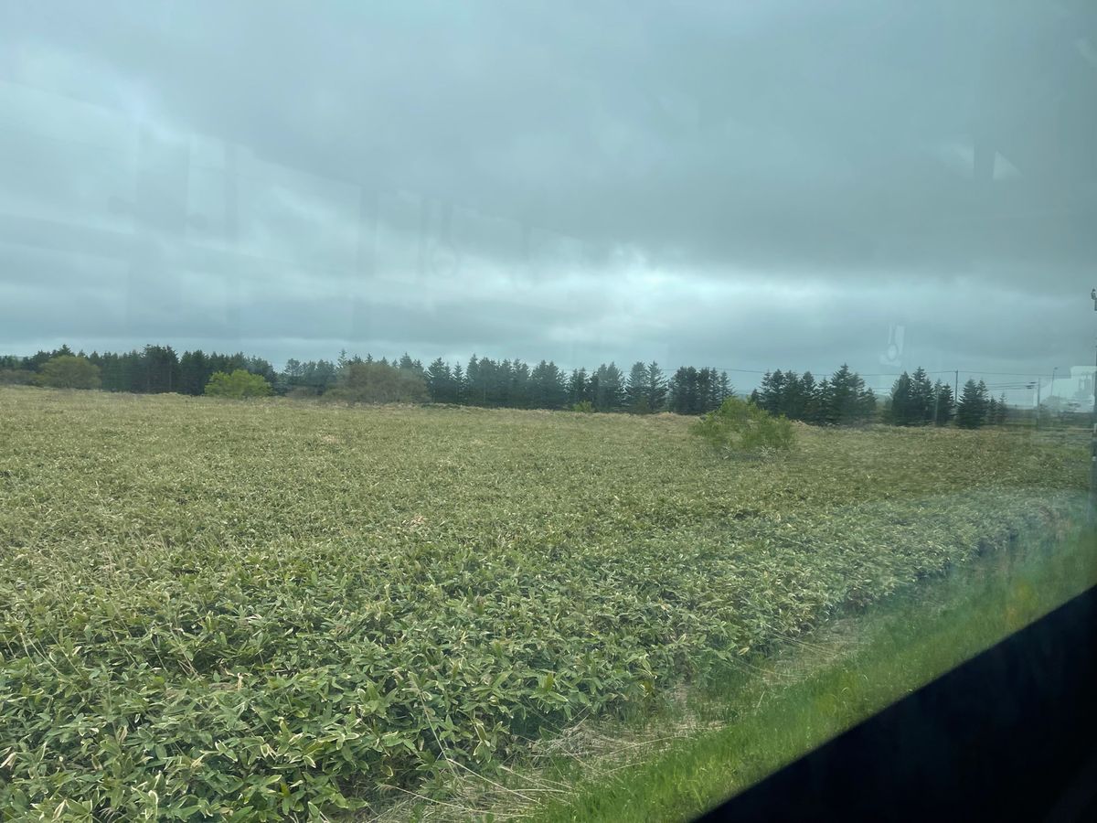 遅延はあったけど、無事稚内空港に到着！
寒い！息が白い！「あの人半袖」と言...